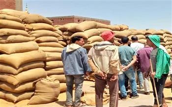 بني سويف: وصول نسبة توريد القمح إلى 60٪ من المستهدف وضبط 50 ألف طن قبل تهريبها