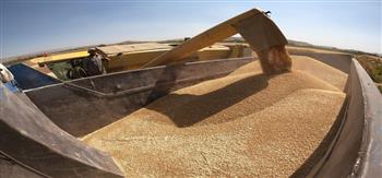 الهند تتعهد بمواصلة تصدير القمح إلى الدول التي تحتاجه رغم قرار الحظر