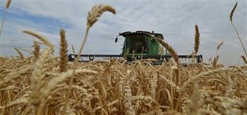 وزير الزراعة الروسي يكشف عن توقعاته لصادرات الحبوب الروسية