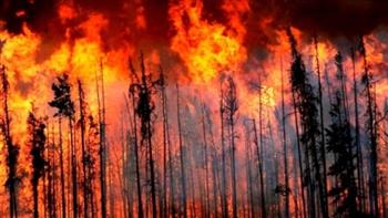 الرئيس الكوري الجنوبي يوجه ببذل قصارى الجهد لإخماد حريق غابات في ميريانج