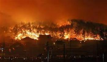 كوريا الجنوبية تجلي أكثر من 470 شخصاً إثر اندلاع حرائق في غابات ميريانج