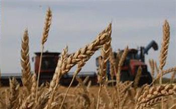 تراجع صادرات أوكرانيا من الحبوب في أبريل إلى الثلث 
