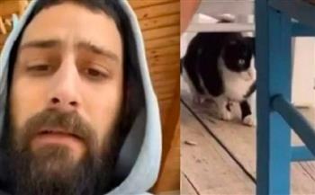 يوناني ينصب كمينًا لقطّة داخل مطعم وينتظر السجن 10 سنوات وغرامة (فيديو)