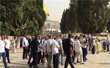 مئات المستوطنين يقتحمون المسجد الأقصى بحماية شرطة الاحتلال