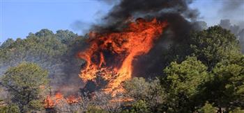 البيت الأبيض: إعلان أجزاء من ولاية نيو مكسيكو مناطق كوارث بسبب حرائق الغابات