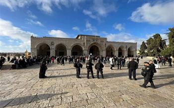مُستشار بالرئاسة الفلسطينية: الاحتلال يتحمل مسؤولية التصعيد في المسجد الأقصى