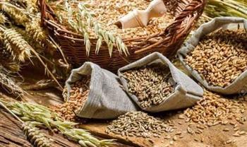 أوكرانيا تعلن عن حجم صادرات الحبوب لهذا الموسم
