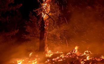 الآلاف رفضوا إخلاء بيوتهم في مواجهة حريق غابات ضخم بأمريكا