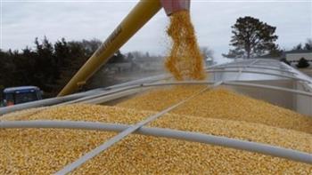 الفاو: 25 مليون طن من الحبوب لا يمكن تصديرها من أوكرانيا
