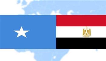الصومال: نقف مع مصر في حربها ضد الإرهاب وندعم جهودها للتصدي لخطره