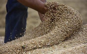 «الزراعة»: تخزين 5.6 مليون طن من القمح في الصوامع الجديدة