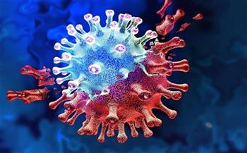 النمسا تسجل 3617 إصابة جديدة بفيروس كورونا 