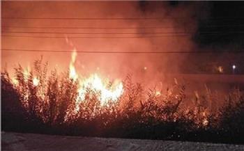 إخماد حريق في مخزن داخل مزارع دينا بأكتوبر