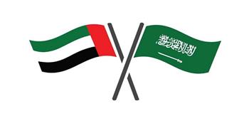 الإمارات والسعودية تبحثان سبل تعزيز التعاون الأمني