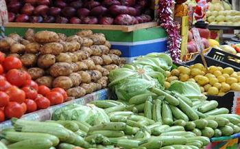 شعبة الخضروات والفاكهة: الأسواق ستشهد انخفاضا في الأسعار الفترة المقبلة
