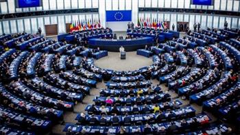 مسئولة أوروبية : الاتحاد الأوروبي يتحمل مسؤولية حماية قابلية حل الدولتين للحياة
