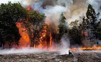 قوات الإطفاء الفرنسية تحاول إخماد حرائق غابات جنوبي البلاد 