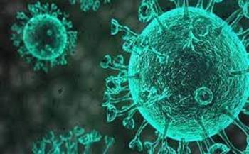 الهند تسجل 8582 إصابة جديدة بفيروس كورونا
