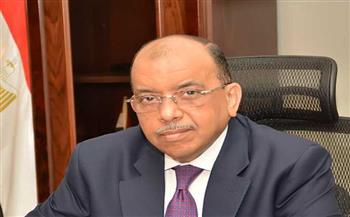 وزير التنمية المحلية: مصر تدعم جهود الدول الإفريقية في مسيرة البناء والتنمية