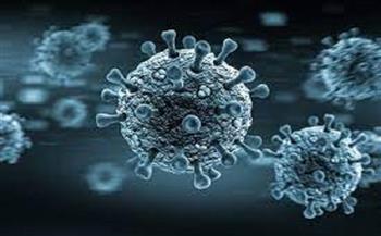 النمسا تسجل 2989 إصابة جديدة بفيروس كورونا المستجد 