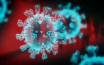 الإمارات تسجل 1319 إصابة جديدة بفيروس كورونا