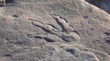 اكتشاف آثار أقدام ديناصورات في دولة عربية.. عمرها 125 مليون سنة 