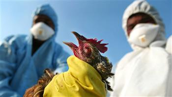 هيئة الغذاء الكويتية توصي بحظر استيراد لحوم الطيور من 14 ولاية أمريكية بسبب انفلونزا الطيور