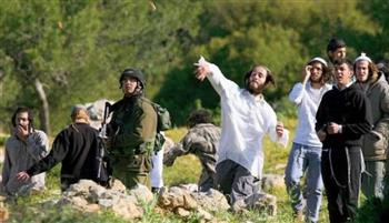 مستوطنون إسرائيليون يقتحمون منطقة "سارية العلم" في طمون