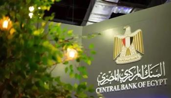 البنك المركزي : انضمام  110 شركات تدعم التكنولوجيا المالية بالسوق المحلي خلال عام  