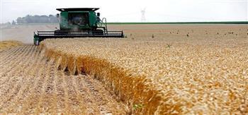 أستراليا تتجه لإنتاج قياسي للقمح لتقليل المخاوف العالمية من قلة الإمدادات