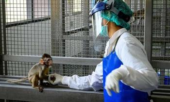 المملكة المتحدة: ارتفاع إجمالي الإصابات بجدري القرود إلى 207 حالات