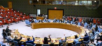 مجلس الأمن يدين الهجوم على بعثة الأمم المتحدة في مالي