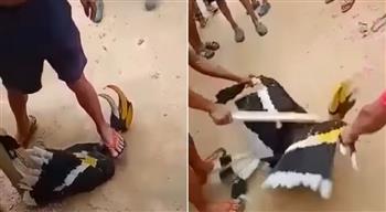 فيديو مروع لطائر مهدد بالإنقراض يتعرض للتعذيب في وسط الشارع