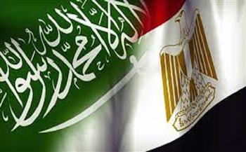 أستاذ علاقات دولية: 11 زيارة متبادلة بين مصر والسعودية منذ تولي الرئيس السيسي