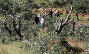 مستوطنون يقتحمون قرية "الباذان" بنابلس تحت حماية قوات الاحتلال