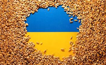نائب رئيس الوزراء الأوكراني: خسائر الزراعة في أوكرانيا بلغت 4.3 مليار دولار منذ بداية النزاع