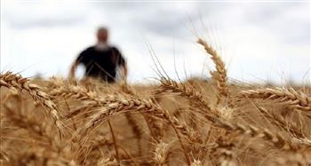الهند ترسل 3 آلاف طن من القمح إلى أفغانستان