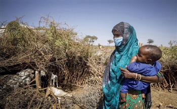 الفاو تحذرُ من تزايد مخاطر المجاعة في القرن الأفريقي بسبب الجفاف