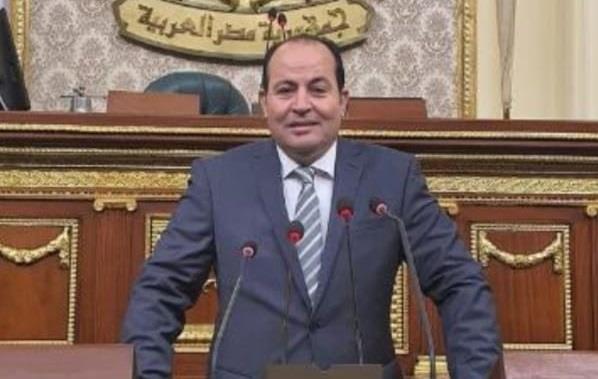 الشرقاوي: 30 يونيو ثورة غيرت مسار الدولة المصرية من الانهيار إلى التنمية