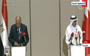 وزير الخارجية البحريني: نؤكد دعمنا الكامل لمصر في قضية سد النهضة