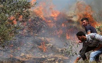 مستوطنون إسرائيليون يضرمون النار في أراضي حوسان غرب بيت لحم