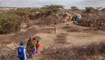 الأمم المتحدة: الجفاف يؤثر على حياة أكثر من 7 ملايين شخص في الصومال
