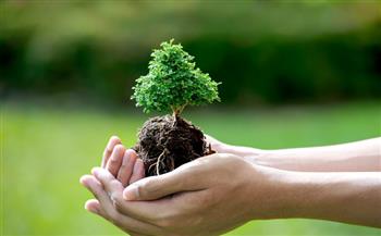 إطلاق حملة تشجير لزراعة 1000 شجرة بجامعة الوادي الجديد احتفالا بيوم البيئة العالمي
