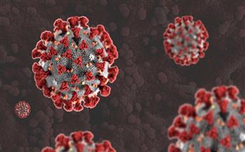 الهند تسجل 4270 إصابة جديدة بفيروس كورونا المستجد و15 حالة وفاة