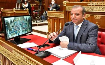 مجلس الشيوخ الفرنسي: ندعم مصر في قضية سد النهضة والسياحة والتصنيع المحلي
