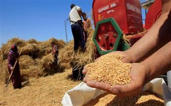 محافظ سوهاج: تشكيل لجان تفتيشية لمراجعة أعمال الجمعيات الزراعية في توريد محصول القمح