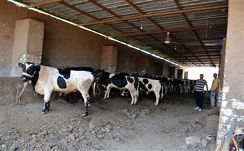 بروتوكول تعاون لتوفير رؤوس ماشية لصغار المربين ضمن «حياة كريمة»