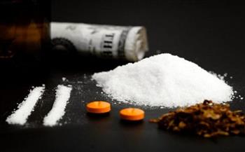 الشرطة الإيطالية تضبط 4.3 طن من الكوكايين في أكبر عمليات ضبط المخدرات في أوروبا