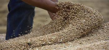 السودان يشرع في بناء مخزون استراتيجي من القمح والذرة