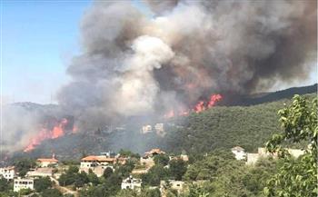 حريق كبير في غابات شمال لبنان والجيش يتدخل